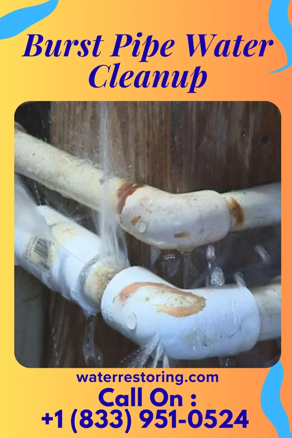Burst Pipe Water Cleanup in St. Paul, VA