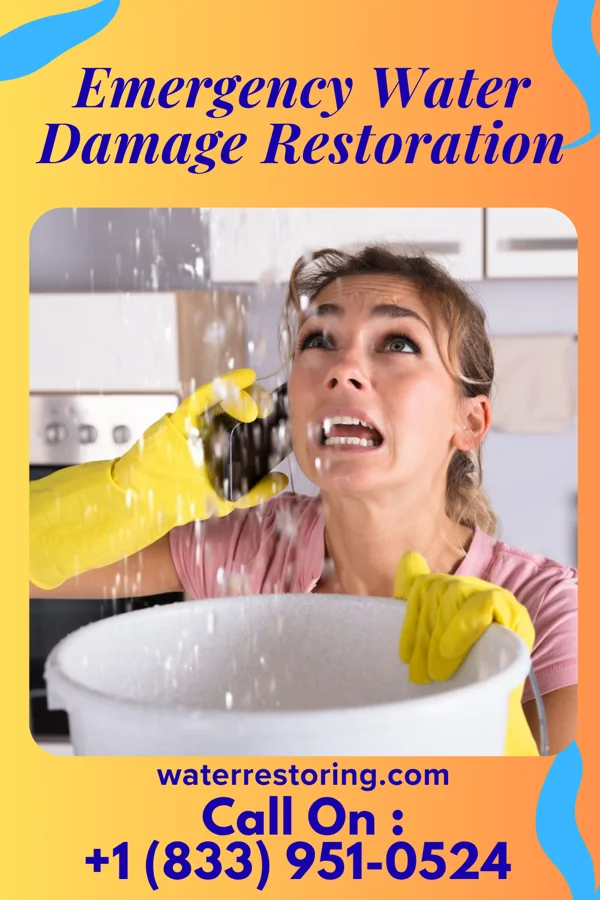 Emergency Water Damage Restoration in St. Paul, VA