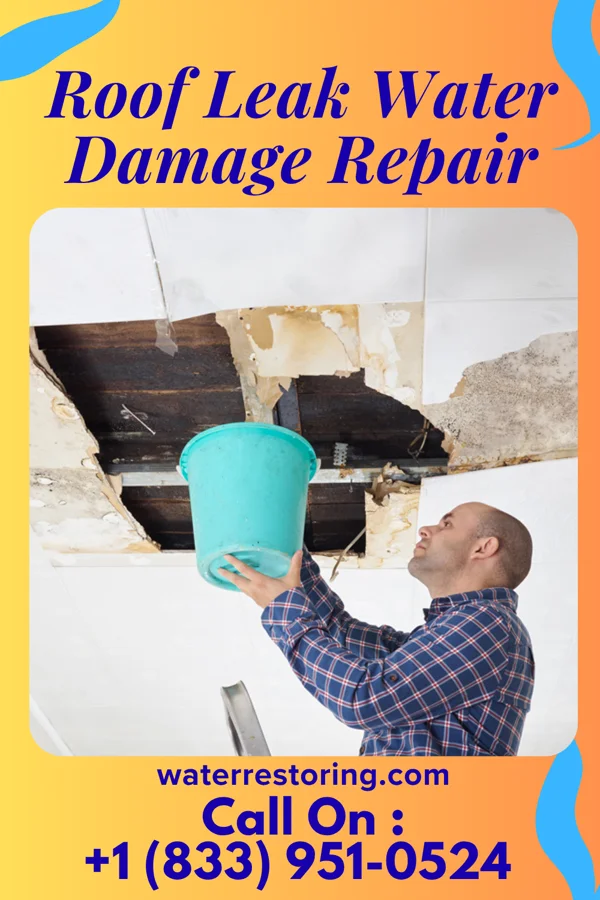 Roof Leak Water Damage Repair in St. Paul, VA