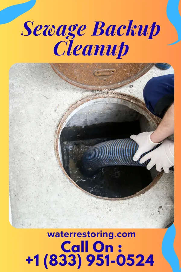 Sewage Backup Cleanup in St. Paul, VA