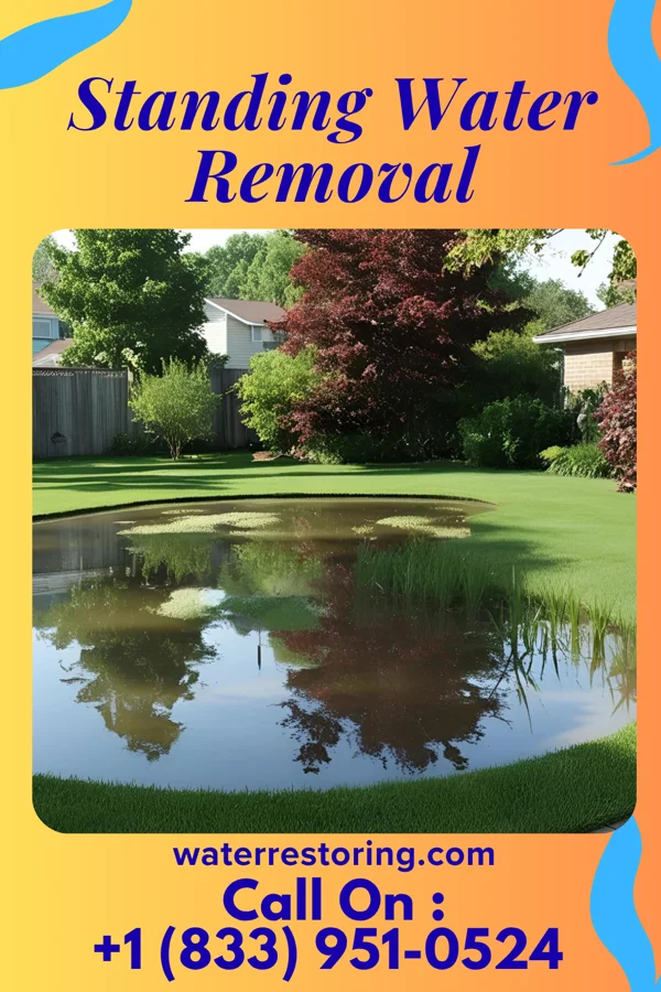 Standing Water Removal in St. Paul, VA